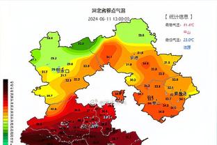 哈姆：詹姆斯本来想打的 但实在不舒服才回家休息了